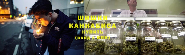 мдпв Горнозаводск
