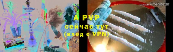 сатива Горняк