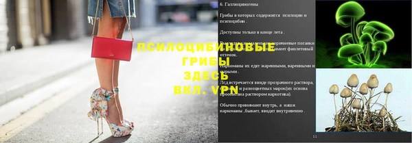 mdpv Аркадак