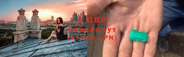 хмурый Арсеньев