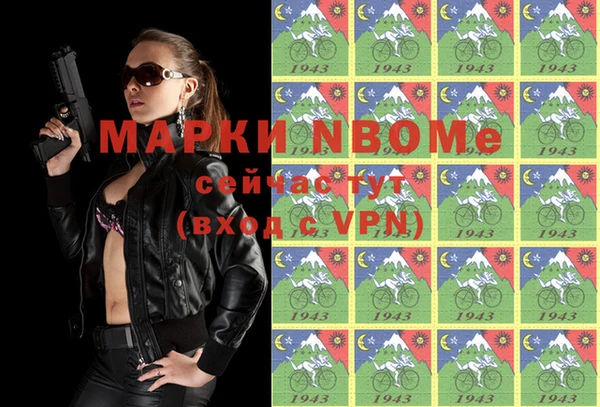 хмурый Арсеньев