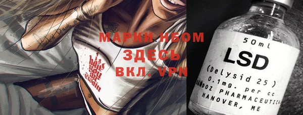хмурый Арсеньев